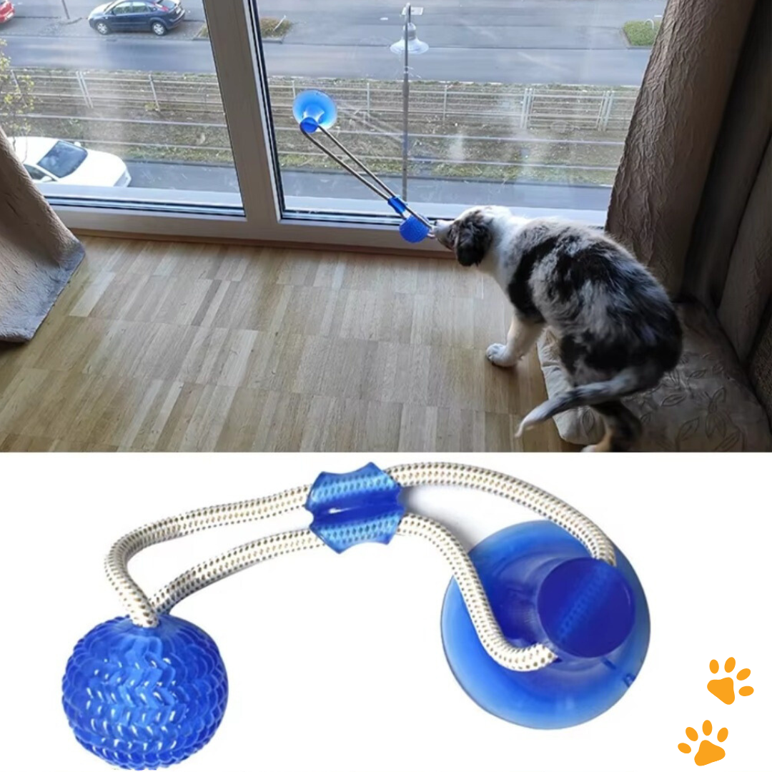 GripBall – Hundespielzeug mit Saugnapf