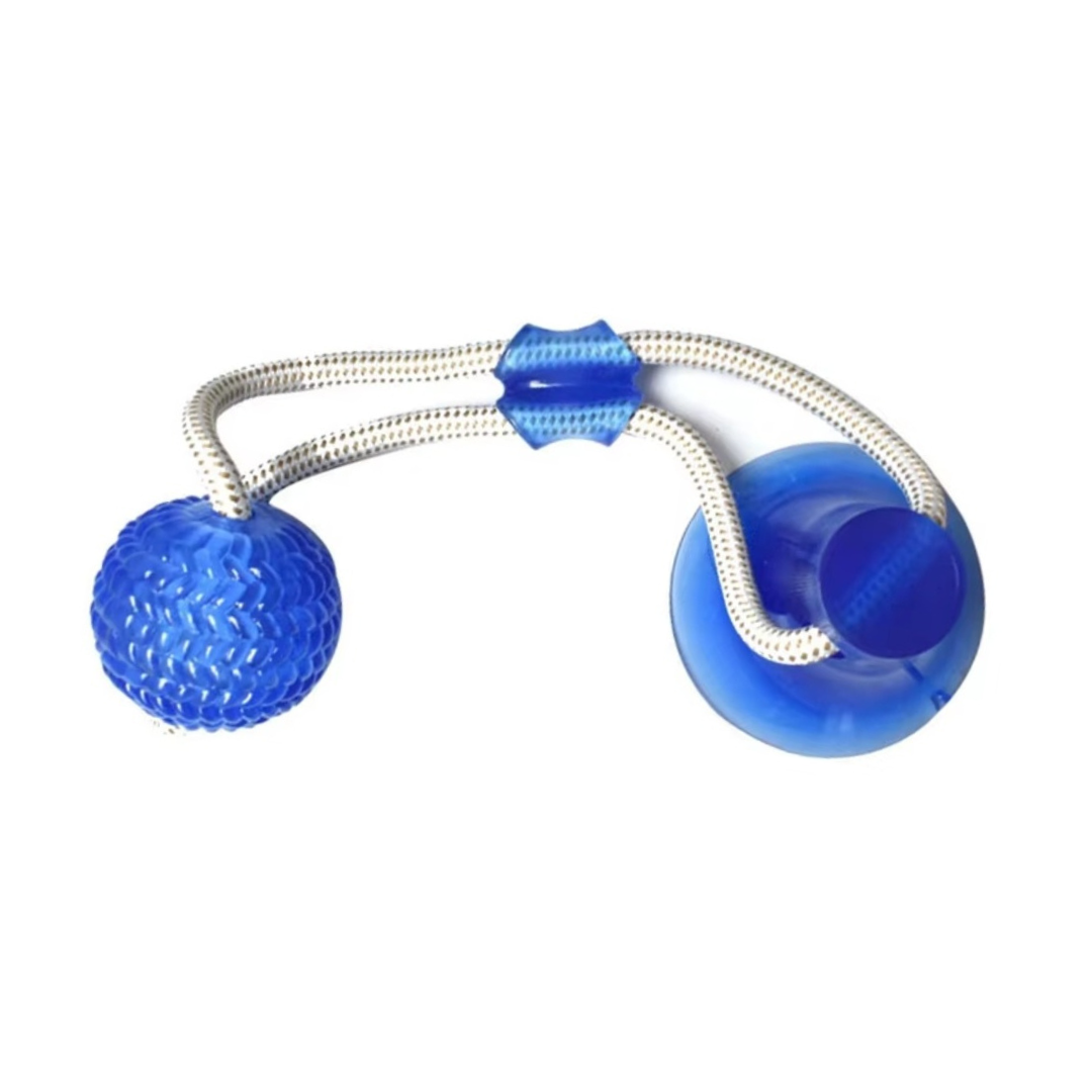 GripBall – Hundespielzeug mit Saugnapf