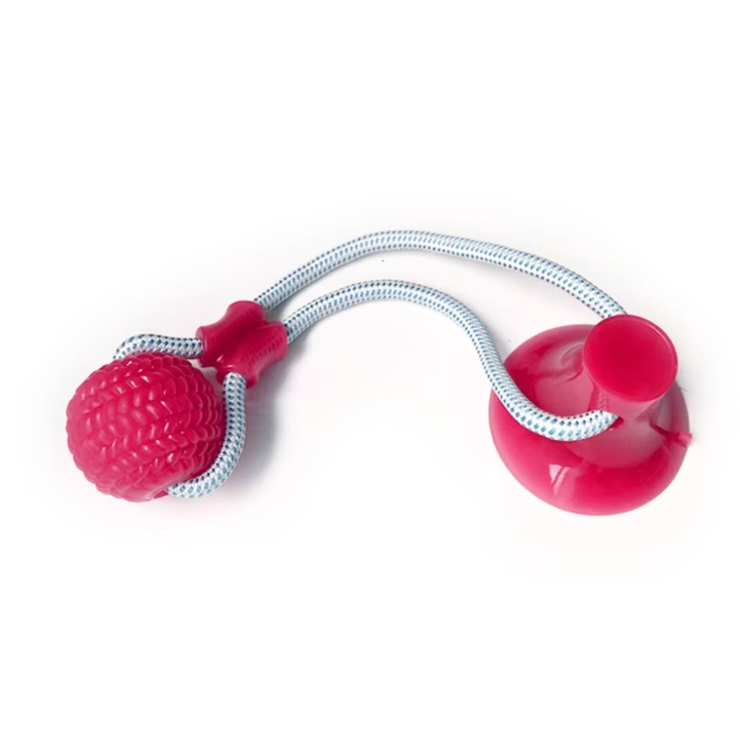 GripBall – Hundespielzeug mit Saugnapf