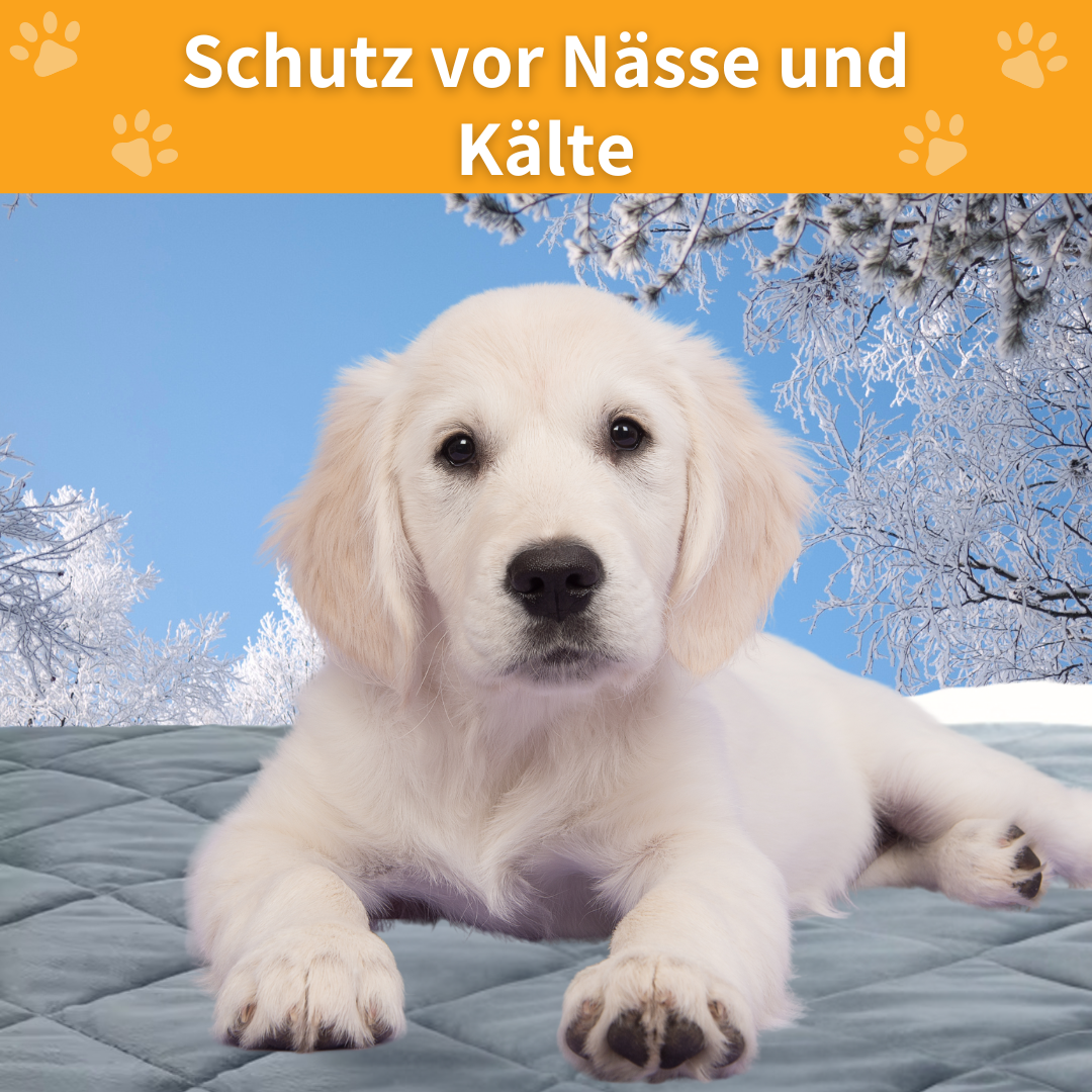 ThermoCozy – Selbstheizende Haustiermatte