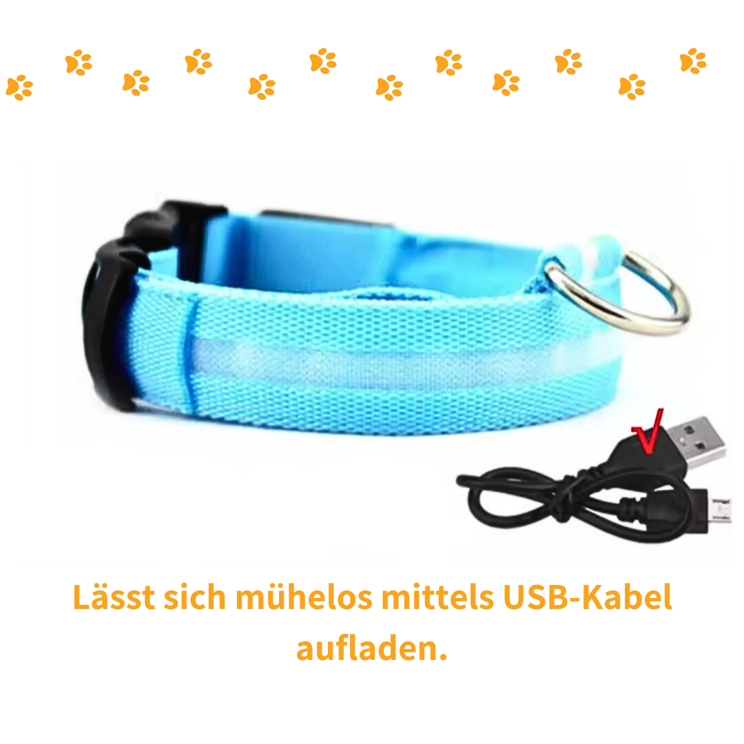 Glowy – Leuchtendes USB-Halsband
