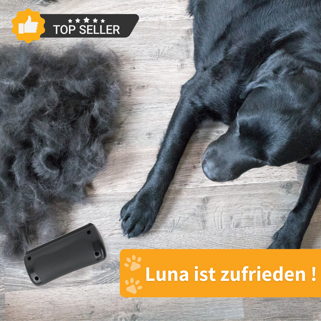 Fell & Tatze Fellpflegebürste