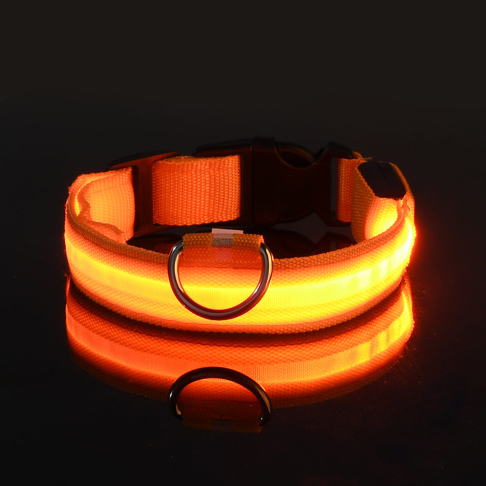 Glowy – Leuchtendes USB-Halsband