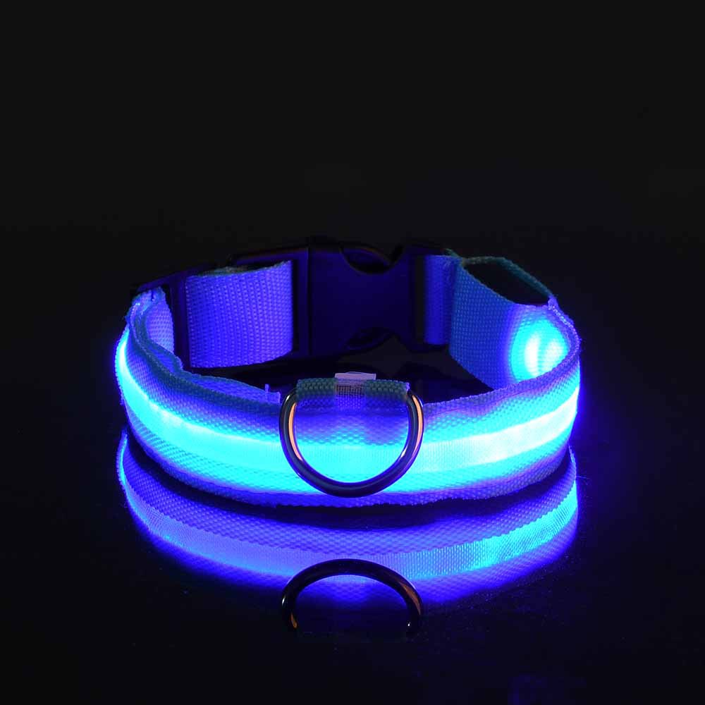 Glowy – Leuchtendes USB-Halsband