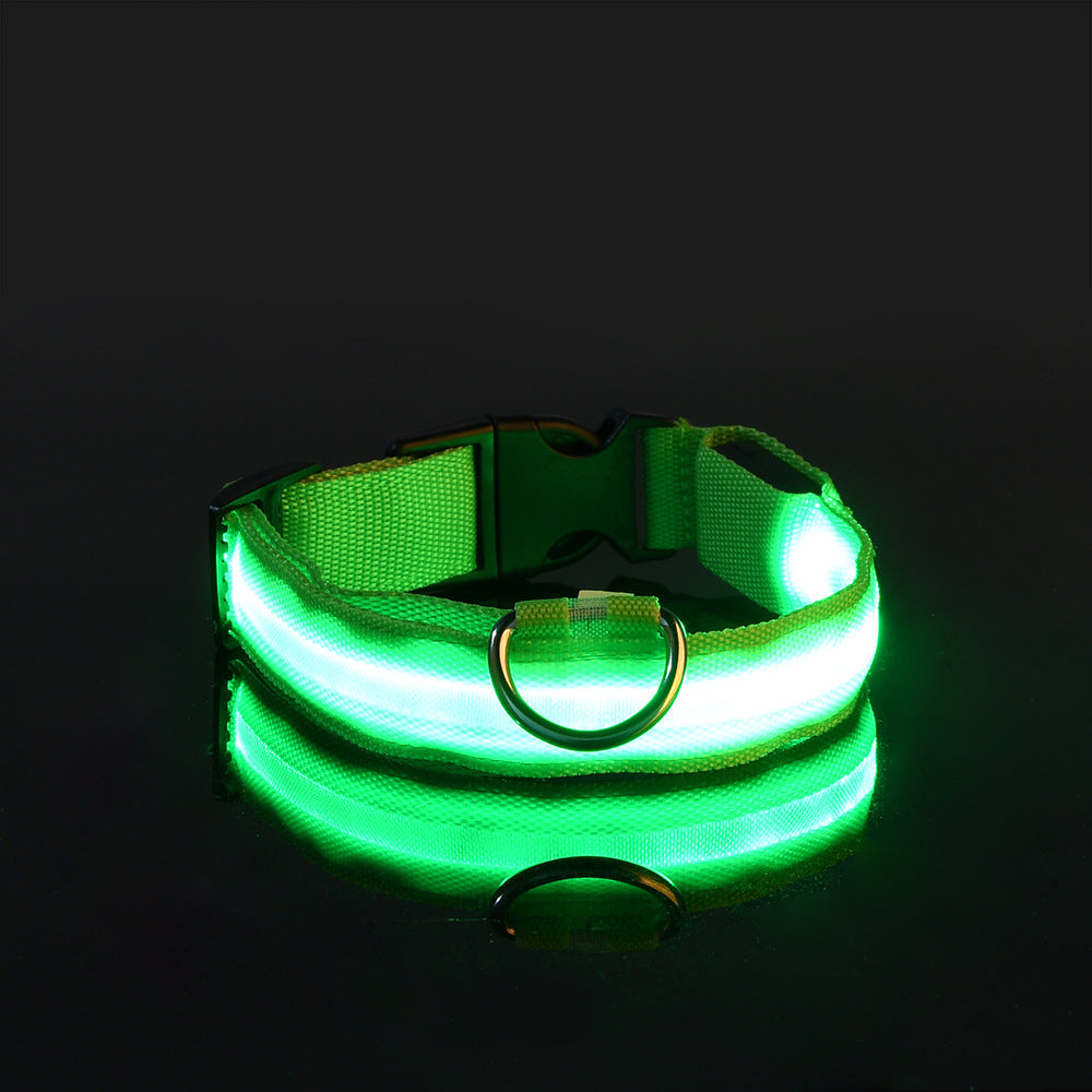 Glowy – Leuchtendes USB-Halsband