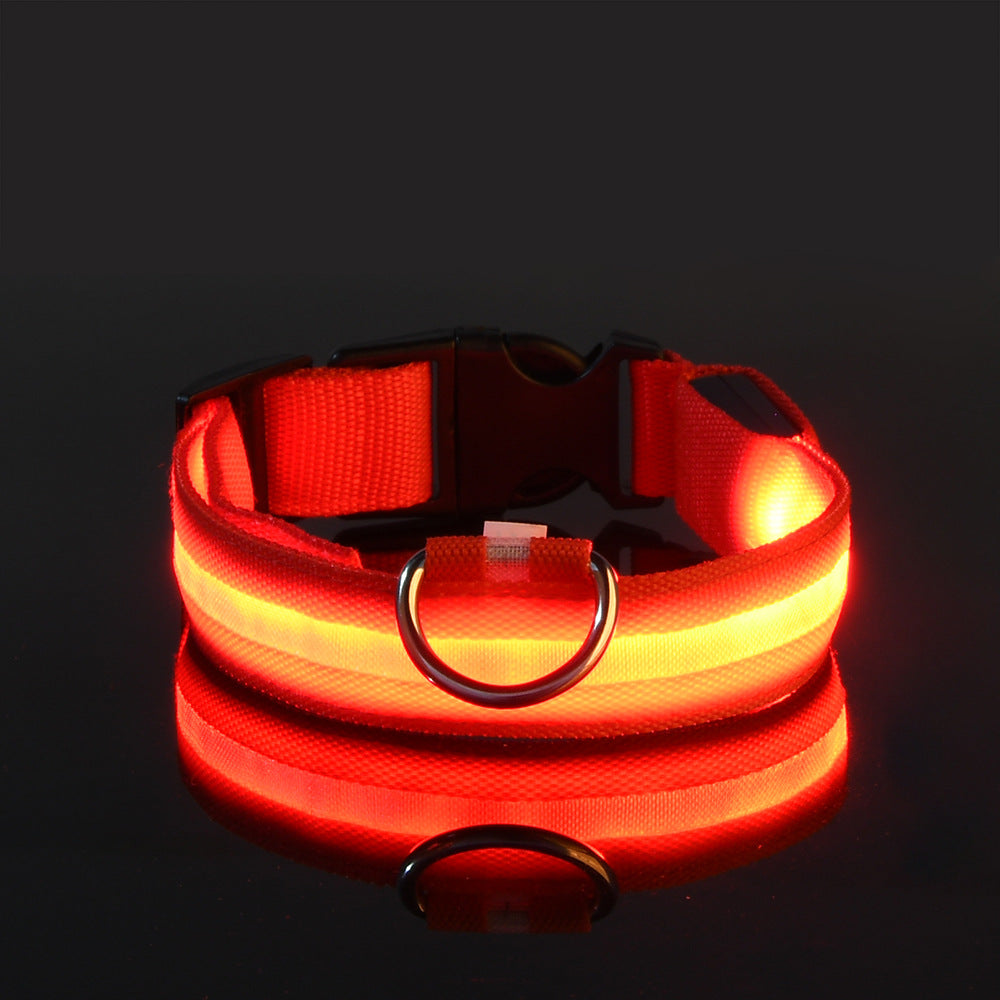 Glowy – Leuchtendes USB-Halsband