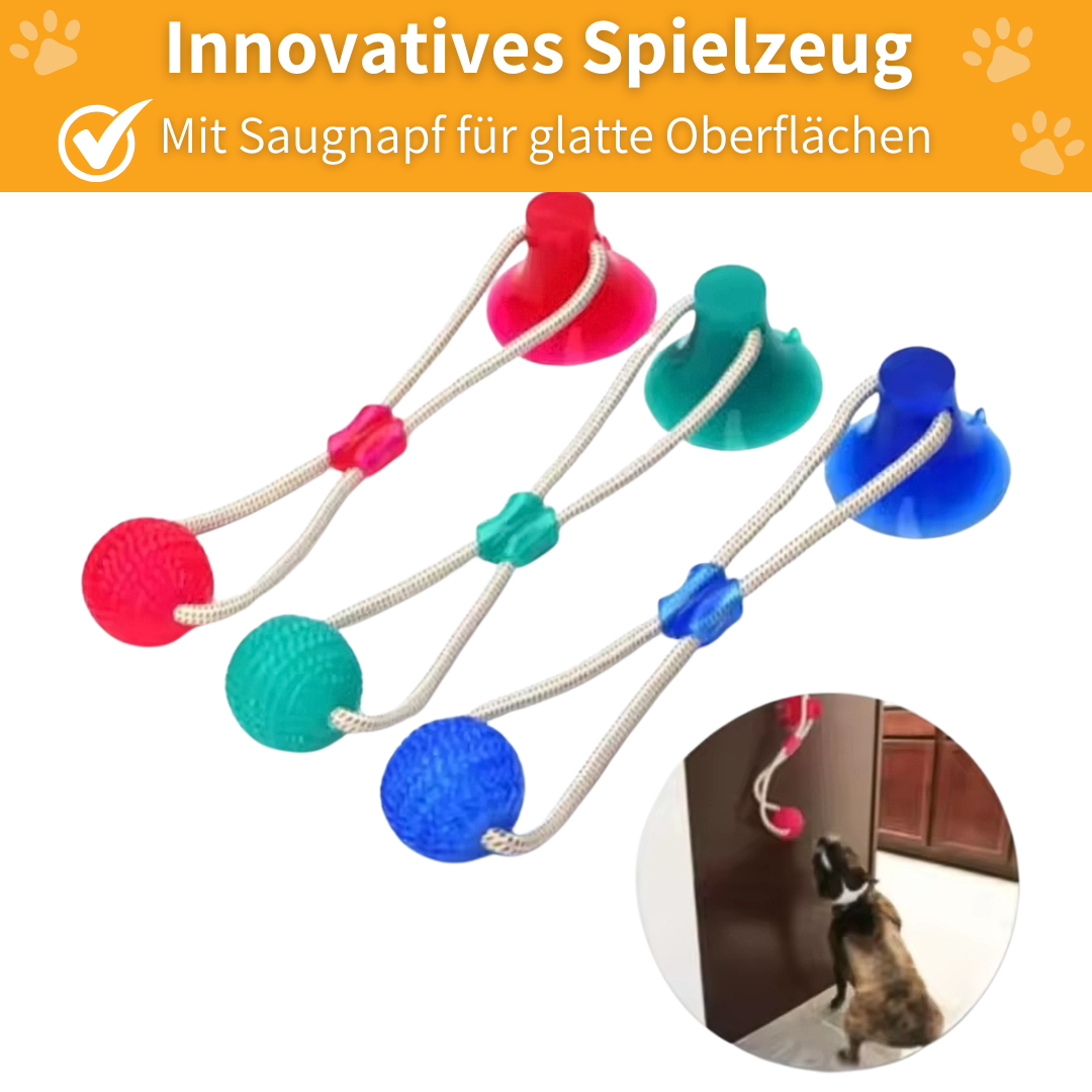 GripBall – Hundespielzeug mit Saugnapf