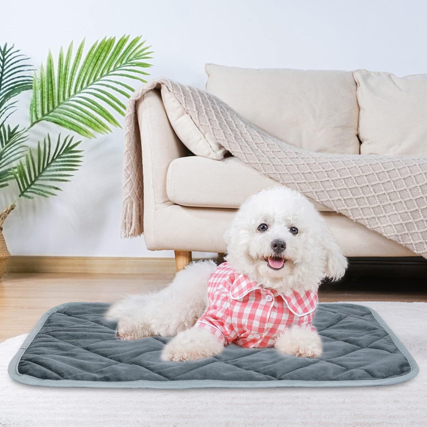 ThermoCozy – Selbstheizende Haustiermatte