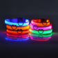 Glowy – Leuchtendes USB-Halsband