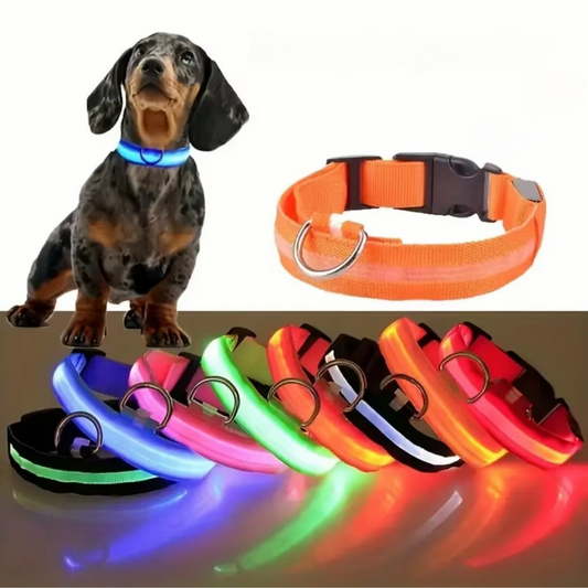 Glowy – Leuchtendes USB-Halsband