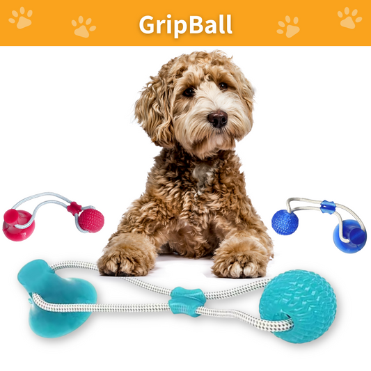 GripBall – Hundespielzeug mit Saugnapf