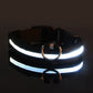 Glowy – Leuchtendes USB-Halsband