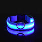 Glowy – Leuchtendes USB-Halsband