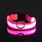 Glowy – Leuchtendes USB-Halsband